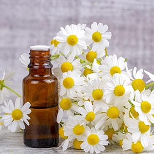 Chamomile oil