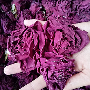 Dehydrated Rose