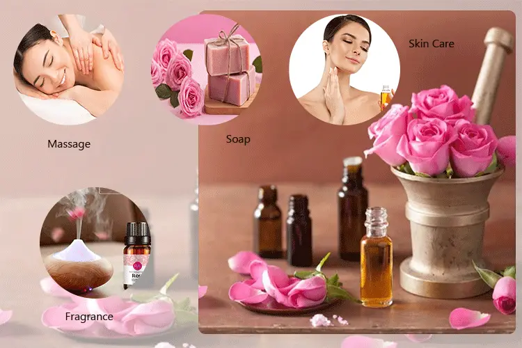 Damascena Rose Essential Oil Application