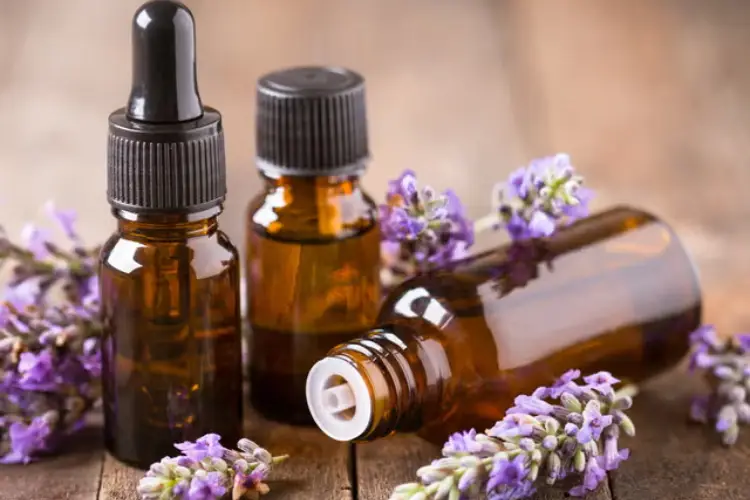 Lavender Essential Oil