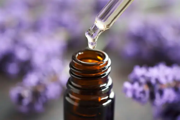 Lavender essential oil