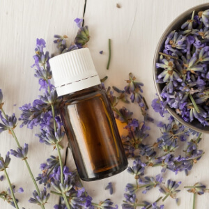 Lavender essential oil