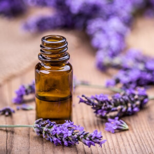 Lavender essential oil