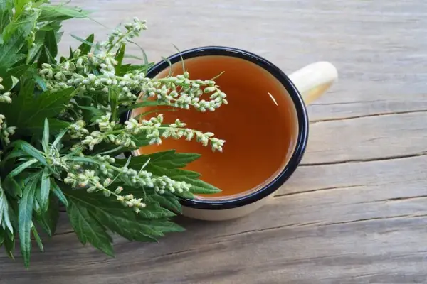 Mugwort Essential Oil for Food and Beverages