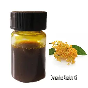 Osmanthus Absolute Oil