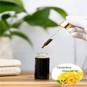 Osmanthus Absolute Oil