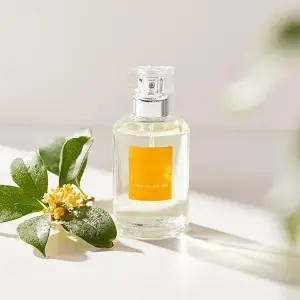 Osmanthus Absolute Oil for Perfumes