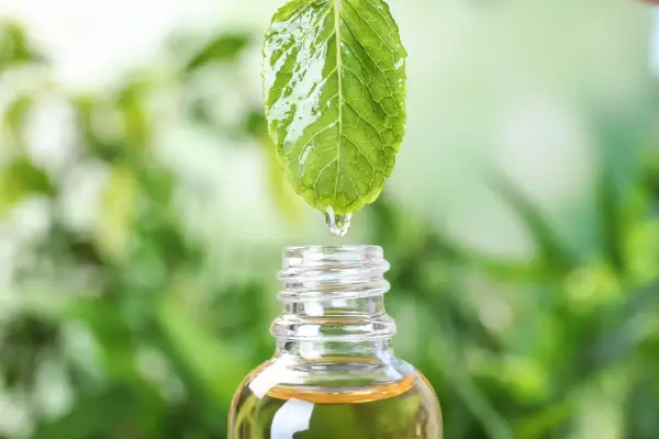 Peppermint Oil