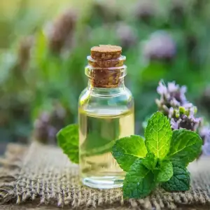 Peppermint Oil