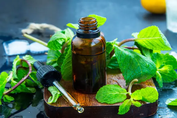 Peppermint Oil