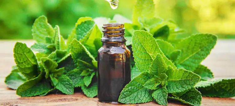 Peppermint oil