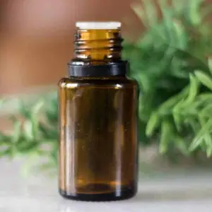 Tea Tree Essential Oil