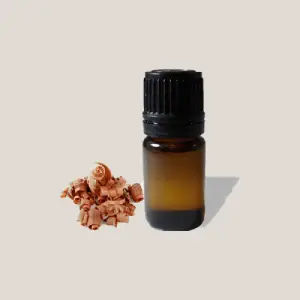 Arborvitae Essential Oil