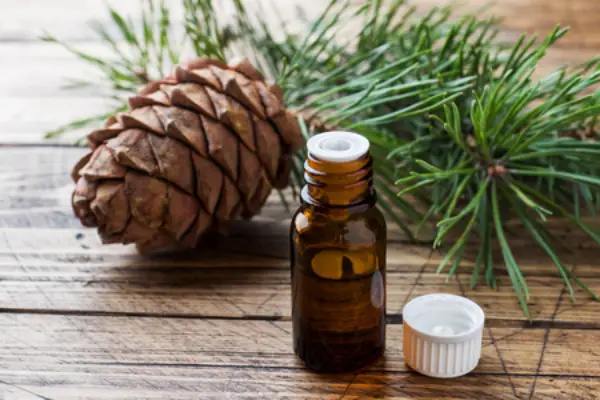 Arborvitae Essential Oil