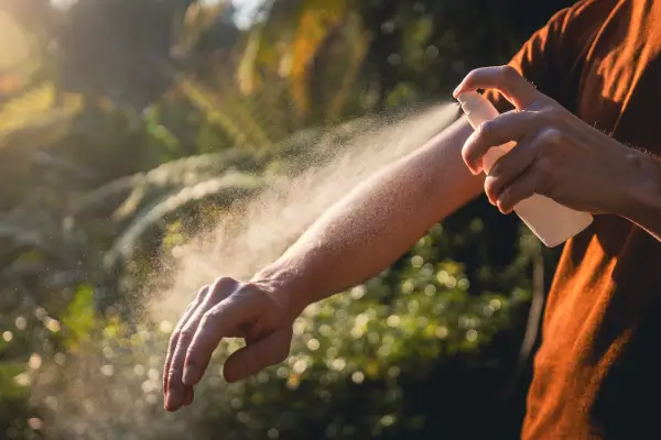 Arborvitae essential oil for Mosquito Repellents