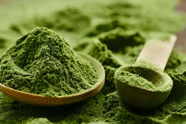 Chlorella Powder