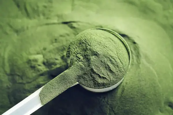 Chlorella Powder