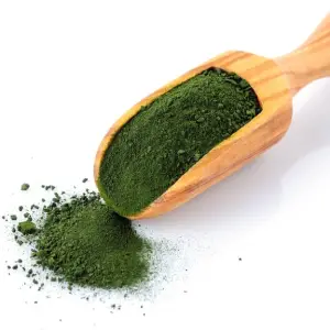 Chlorella Powder