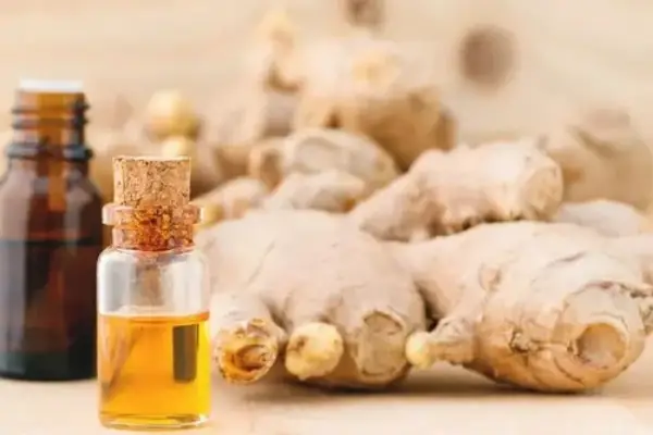 Ginger Essential Oil