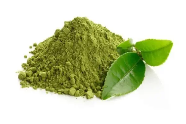 Green Tea Extract