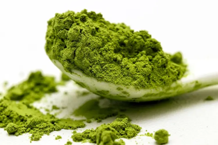 Green Tea Extract