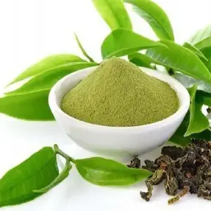 Green Tea Extract