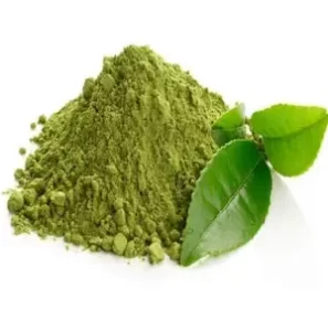 Green Tea Extract