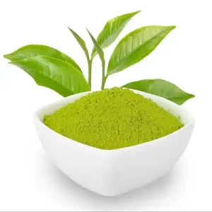 Green Tea Extract