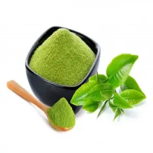 Green Tea Extract