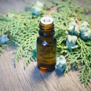 Thuja Essential Oil