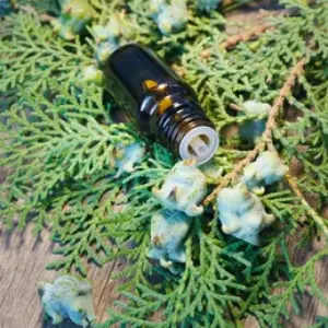 Thuja Essential Oil