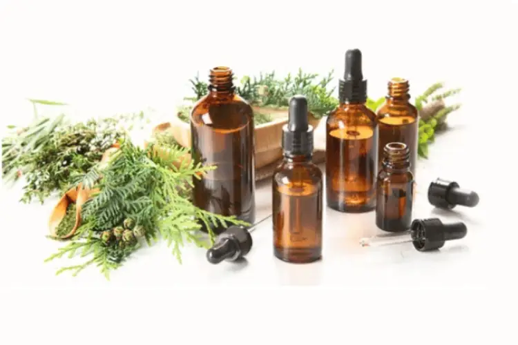 Thuja Essential Oil