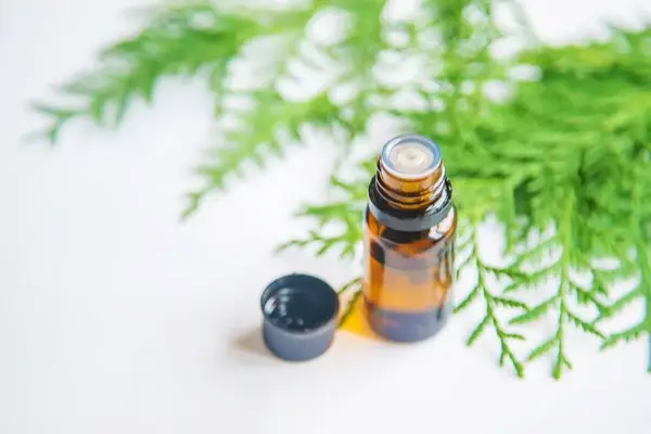 Thuja Essential Oil