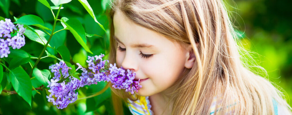 Essential Oils & Aromatherapy-A Wonderful Magic